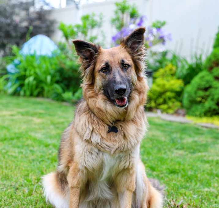 Photo of Holly