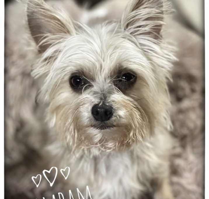 Photo of BamBam