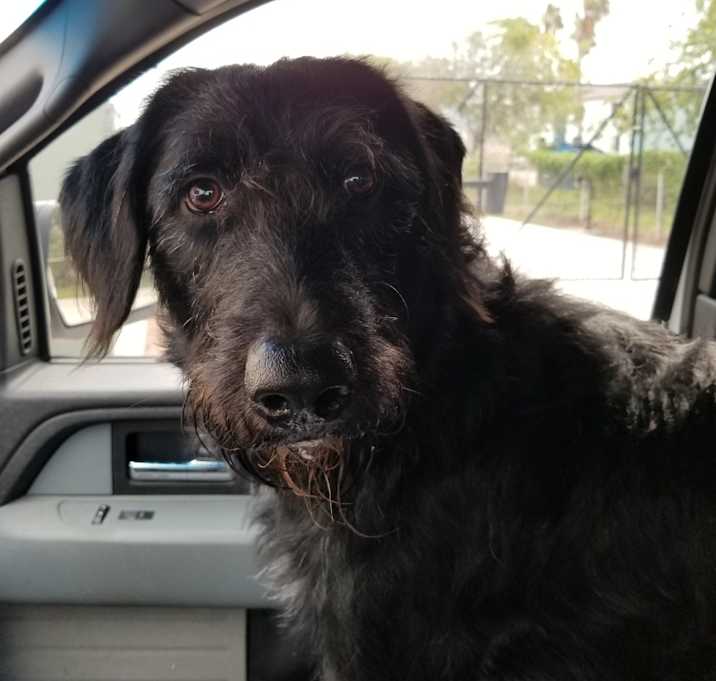 Photo of Lucky