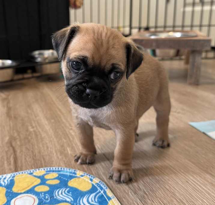 Photo of Jax