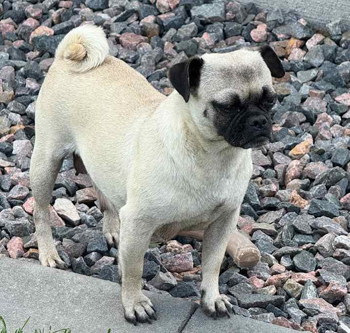 Photo of Juliette