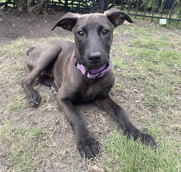 Photo of LUNA