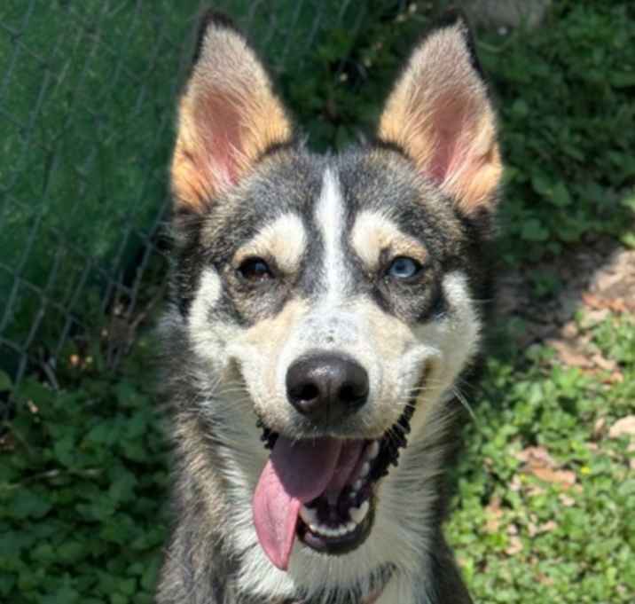 Photo of Peggy