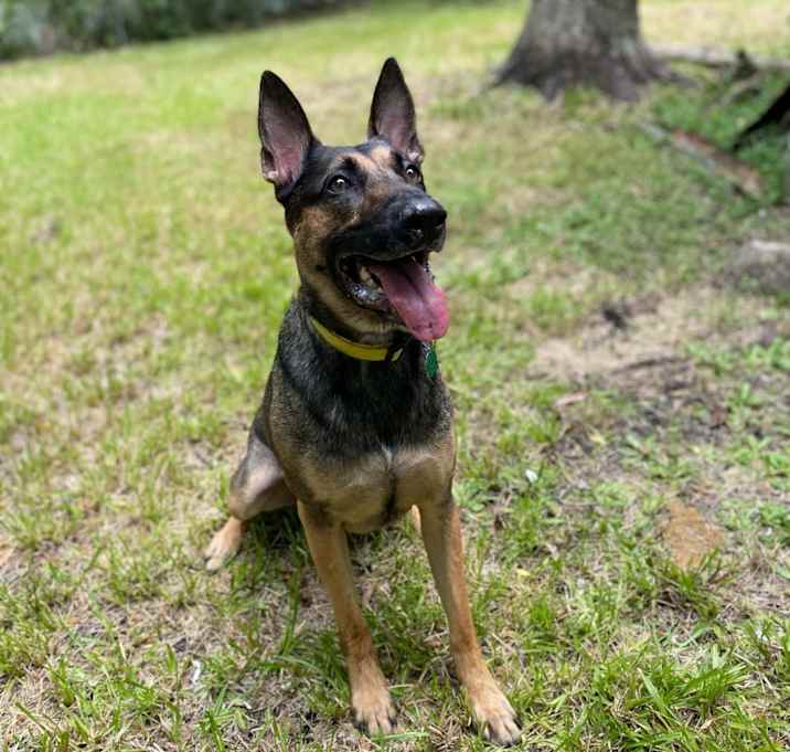 Photo of Axel