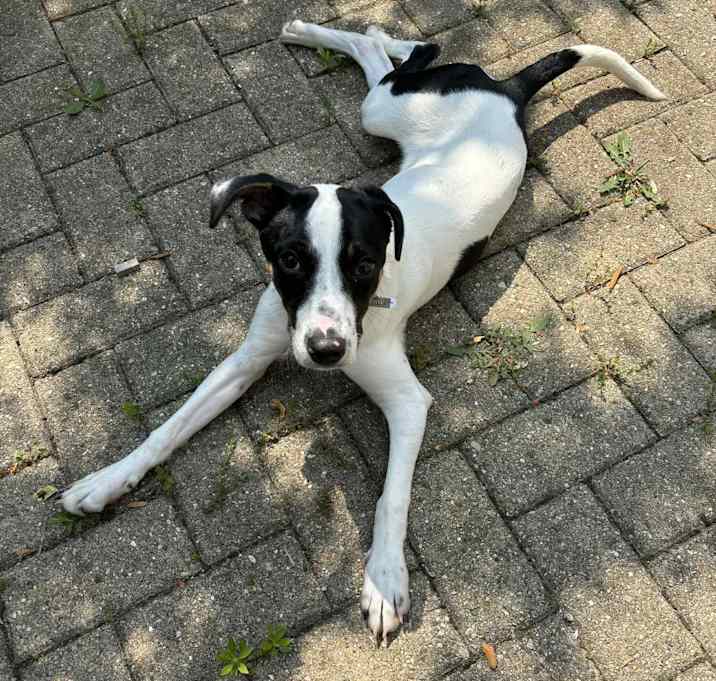Photo of Molly