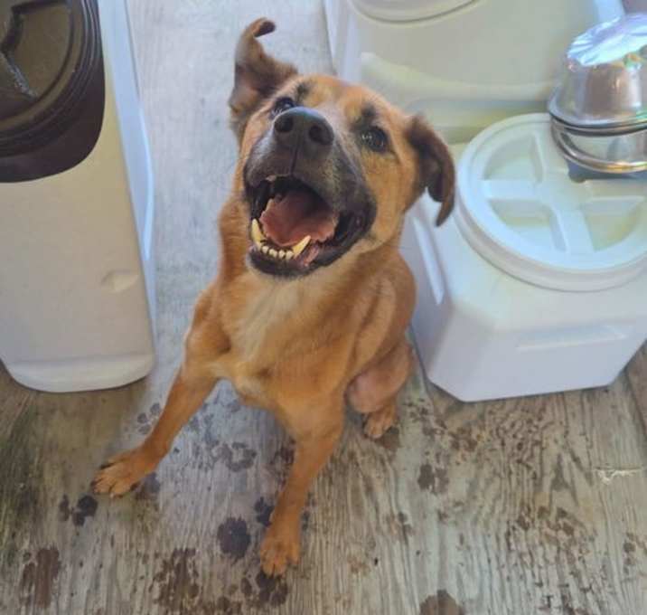 Photo of Cooper
