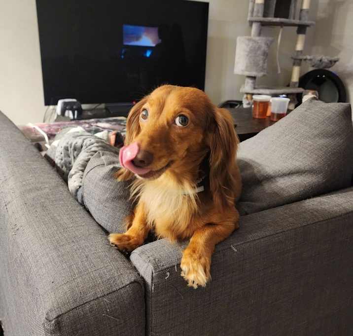Photo of Monty
