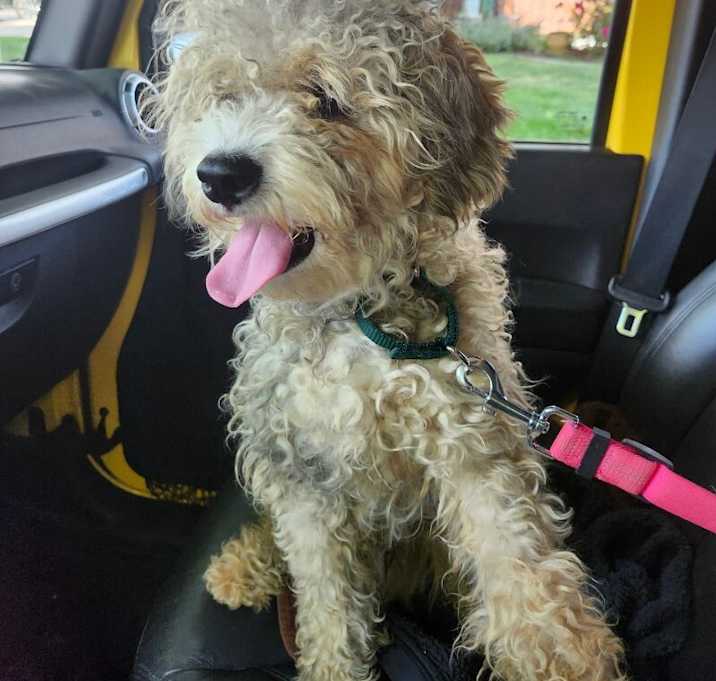 Photo of Huey
