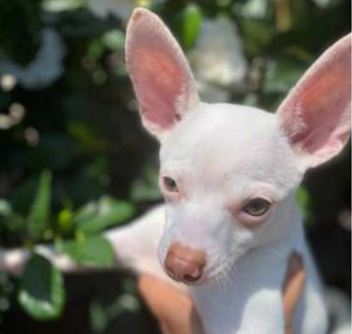 Photo of Slim