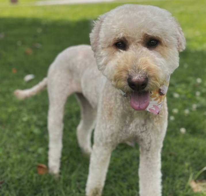 Photo of ZANDIE