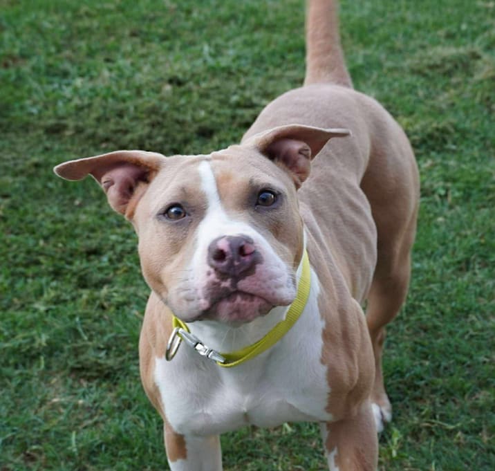 Photo of Kona