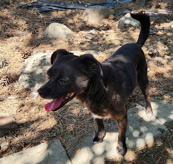 Photo of Coco