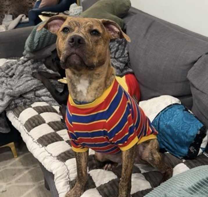 Photo of Billie