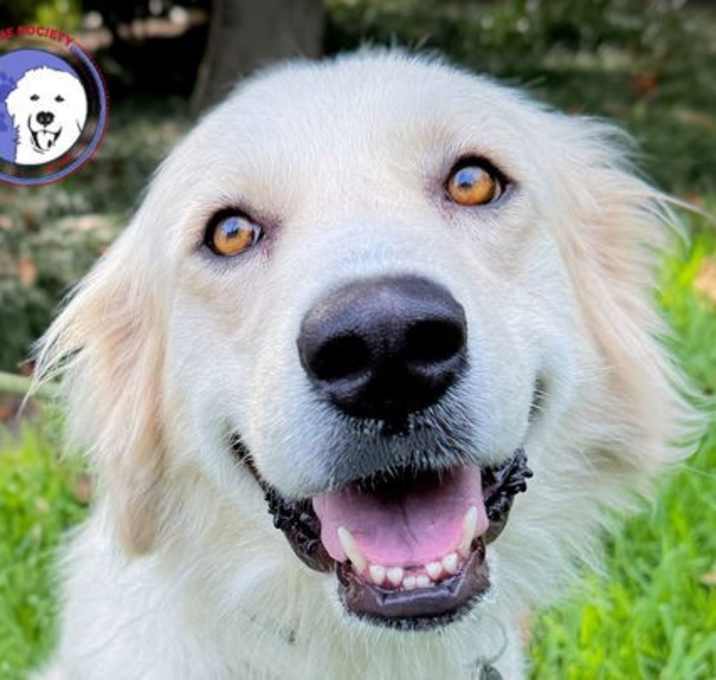 Photo of Gallete