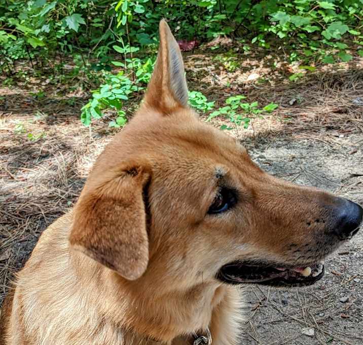 Photo of Gunther