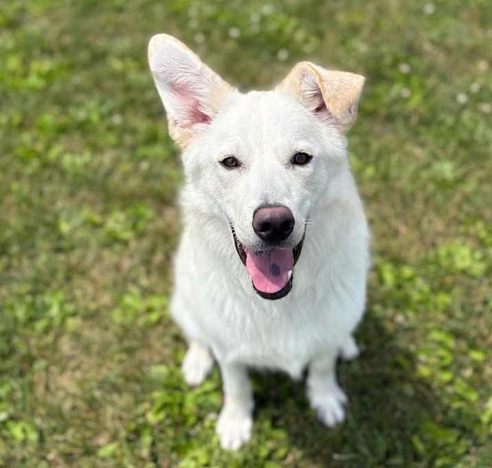Photo of Harper