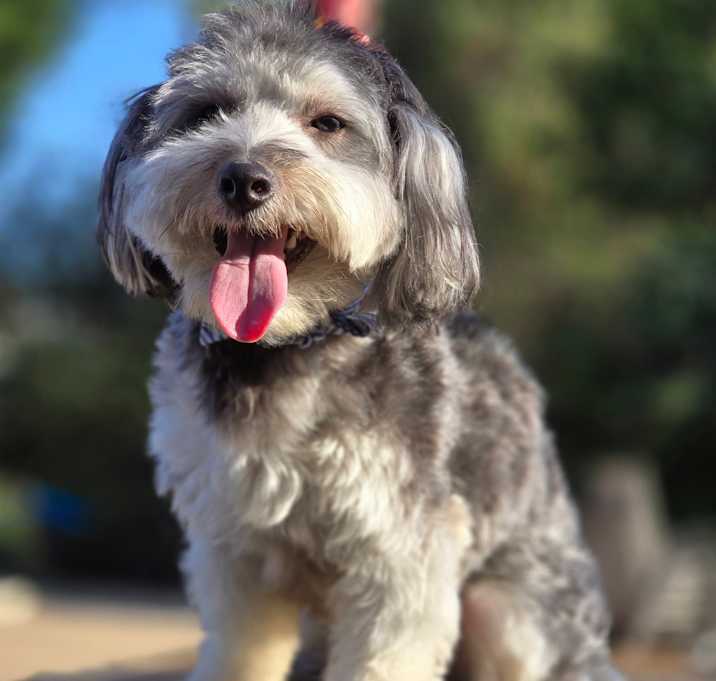 Photo of Lucas