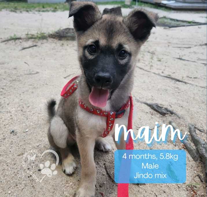 Photo of Maim