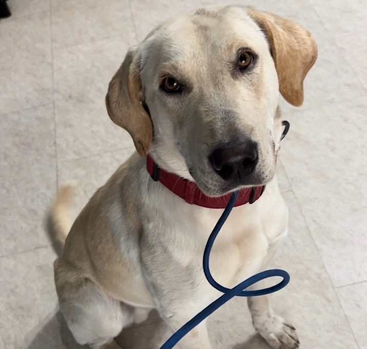 Photo of Buddy