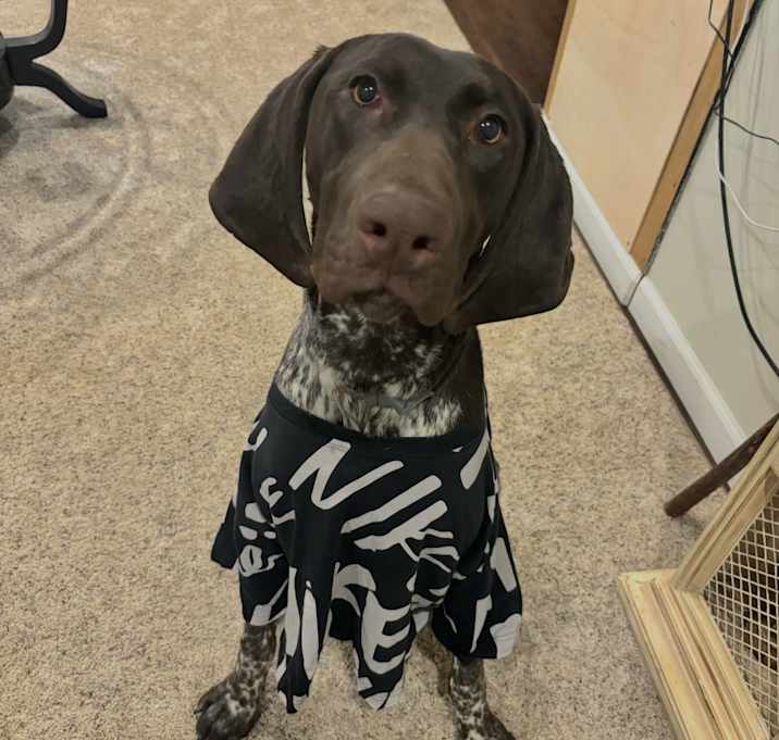 Photo of Rocky