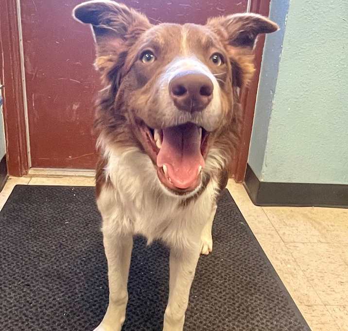 Photo of Jake