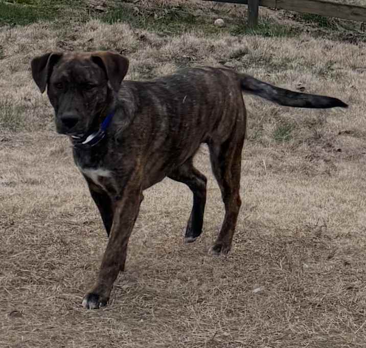 Photo of Roxy