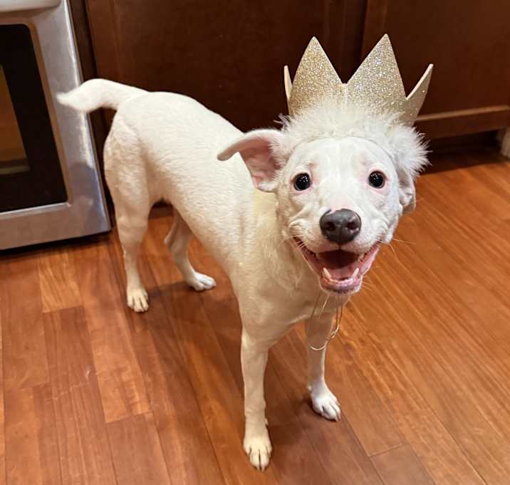 Photo of Talulah