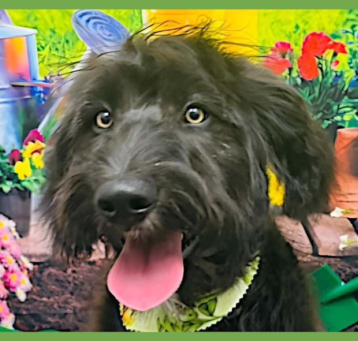 Photo of Jack