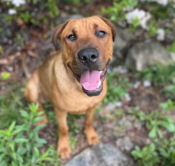 Photo of Brody