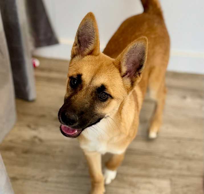 Photo of Gigi