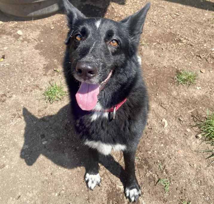 Photo of STELLA