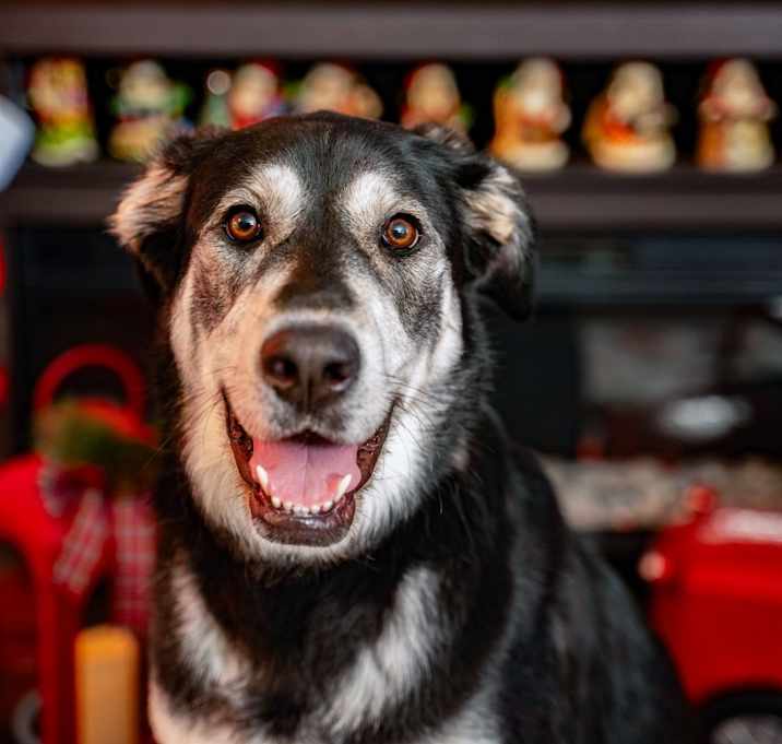 Photo of Harlee