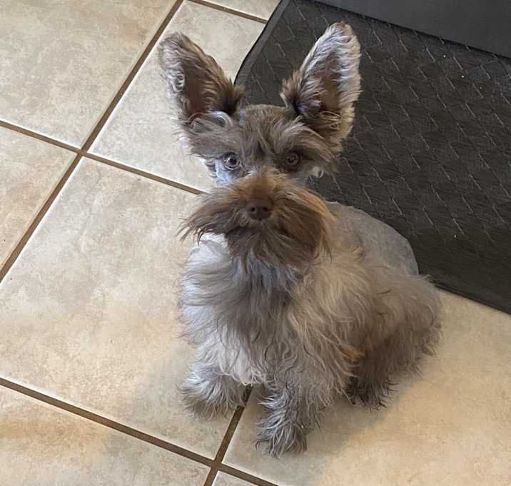 Photo of Hercules