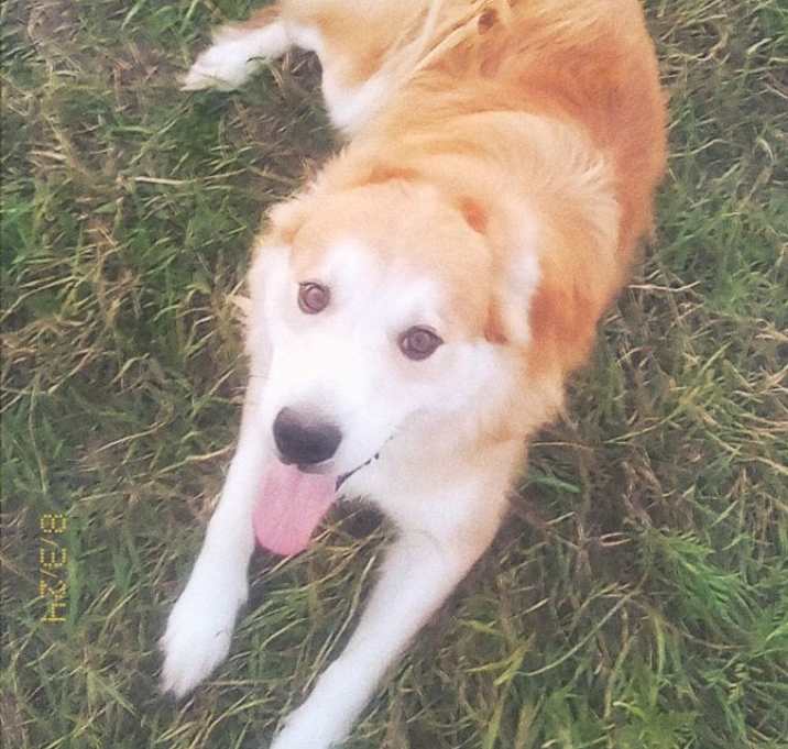 Photo of Houdini
