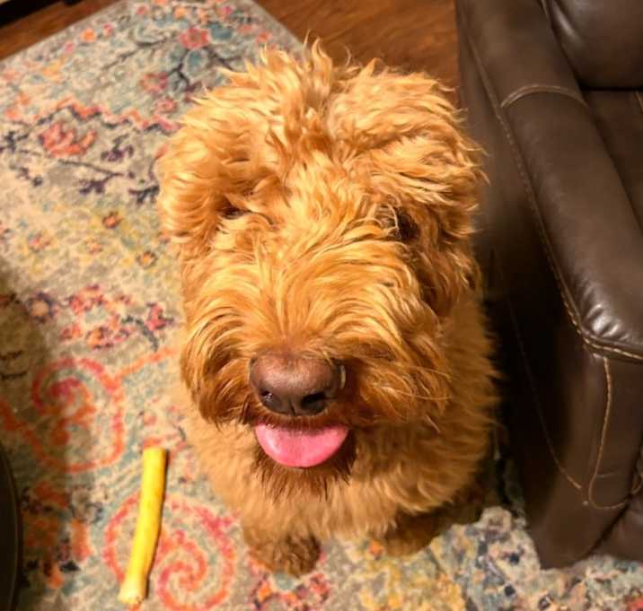 Photo of Jack