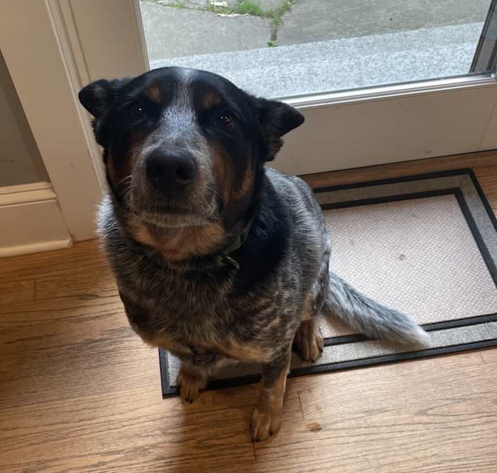 Photo of Max
