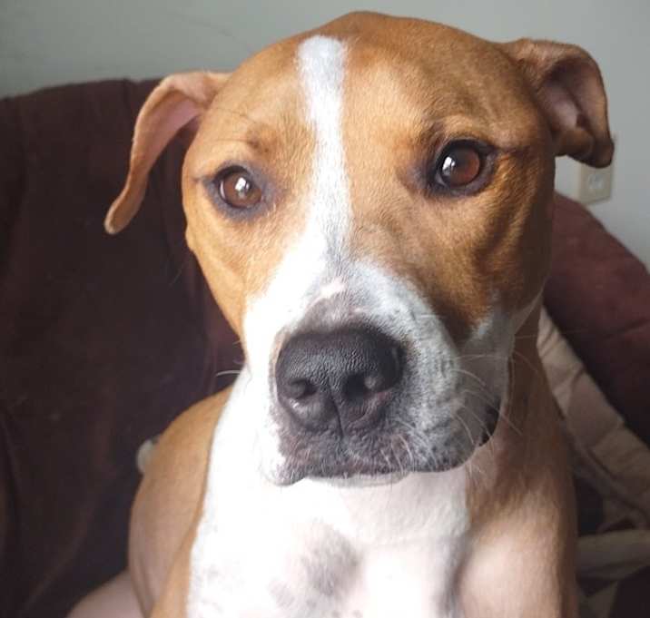 Photo of Canela Simone