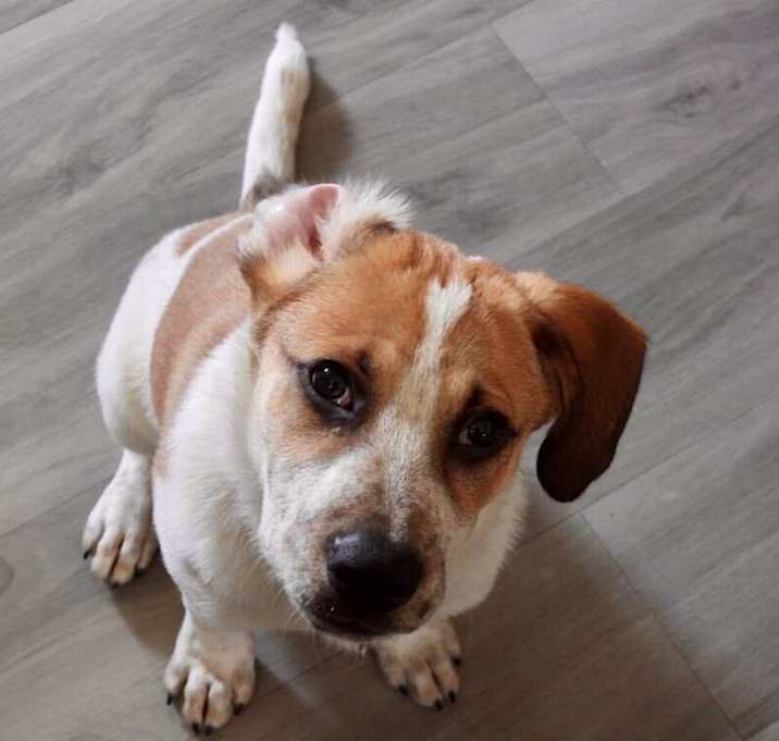 Photo of Belle