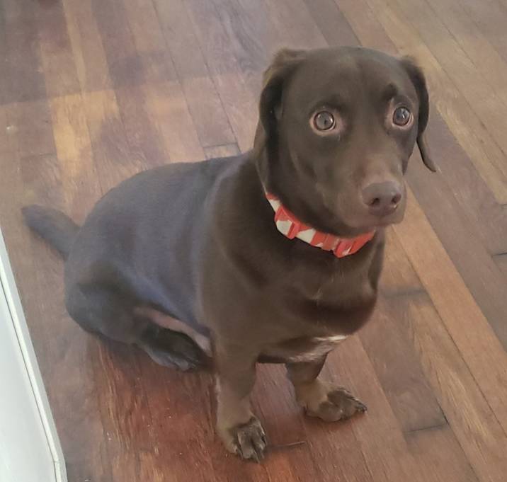 Photo of Rocket