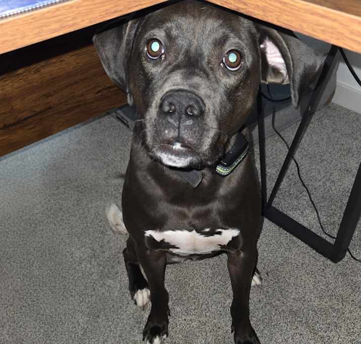 Photo of Bubs