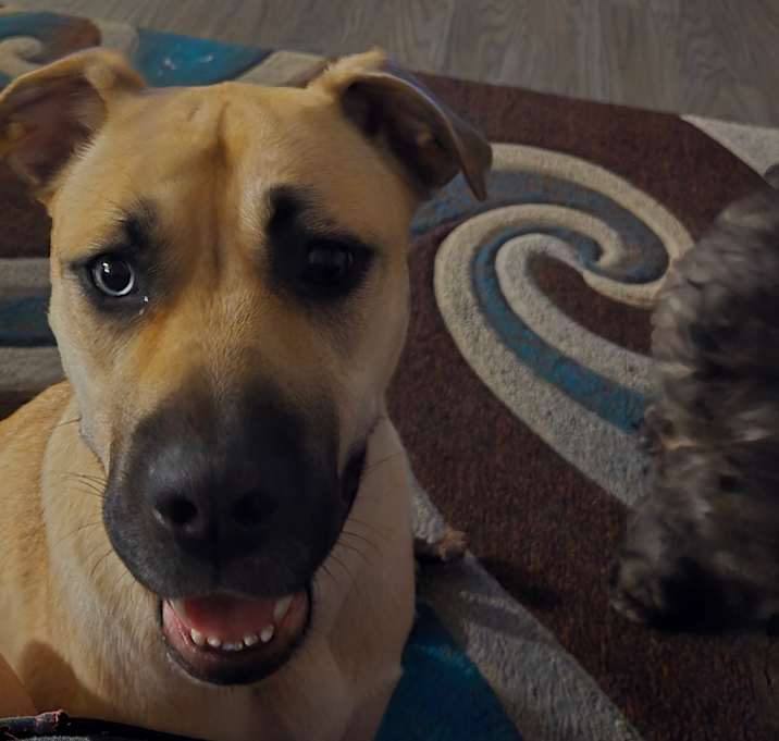 Photo of Star
