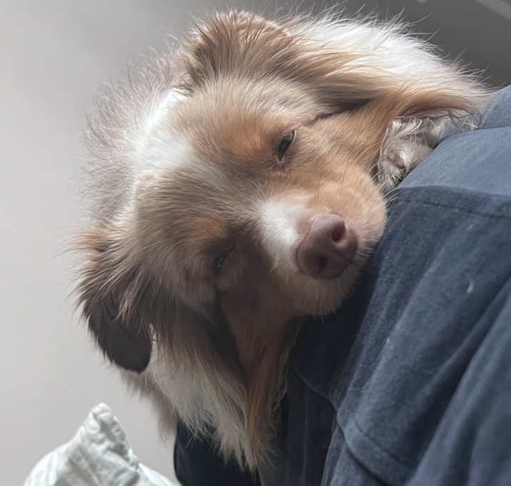 Photo of Puff