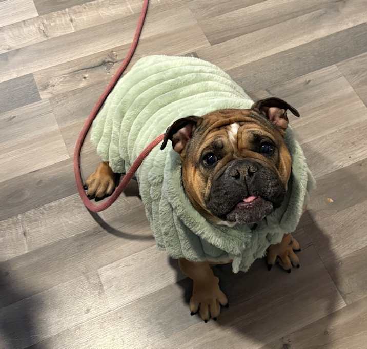 Photo of Ruby