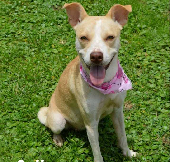 Photo of Sally