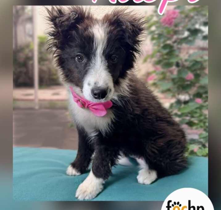 Photo of Nyx