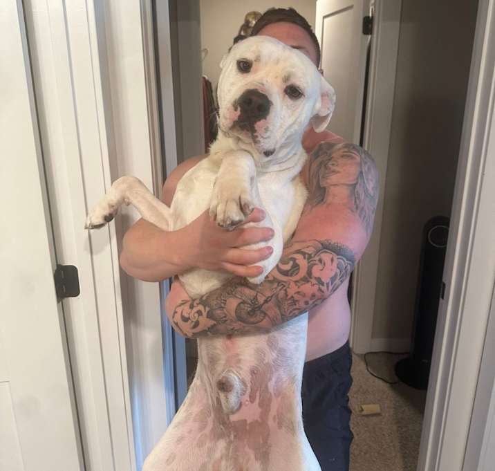 Photo of Droopy