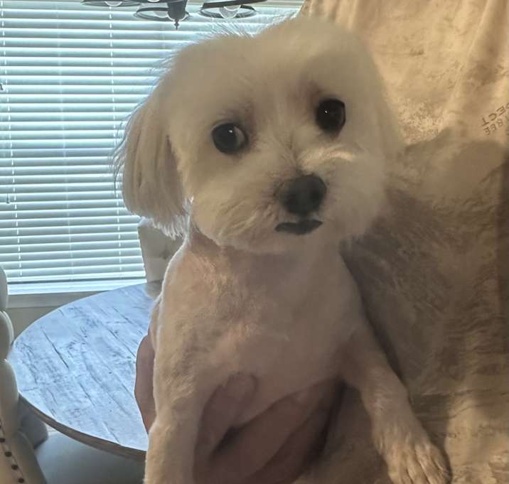 Photo of Jax