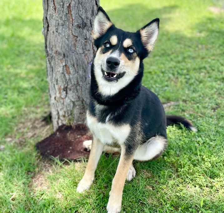 Photo of Chica 25-05-157