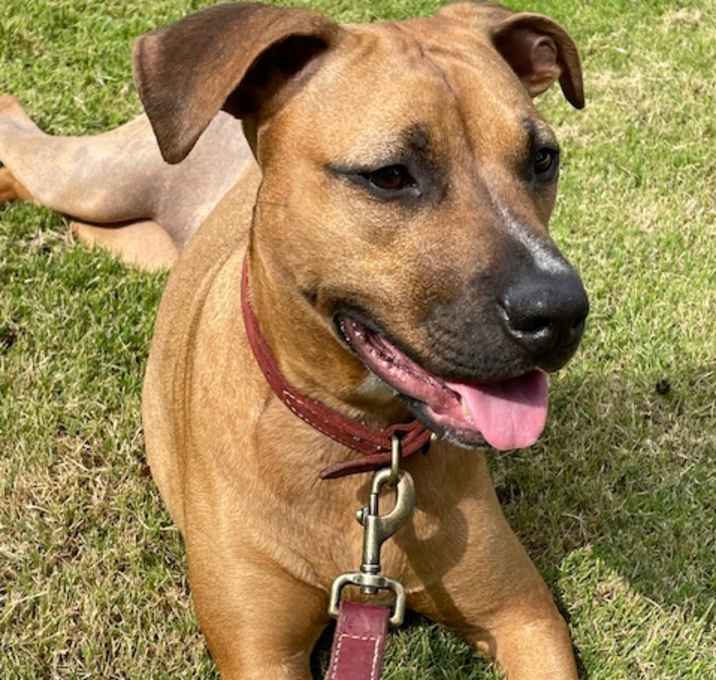 Photo of Jazz