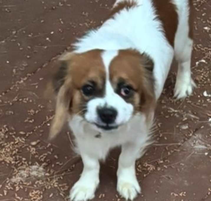Photo of Max